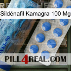 Sildénafil Kamagra 100 Mg 40